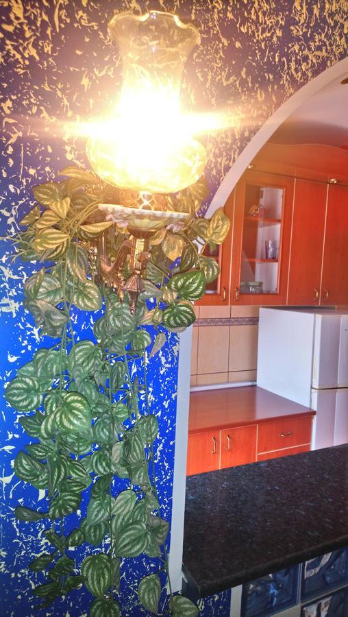 Garden Apartman Belgrád Kültér fotó